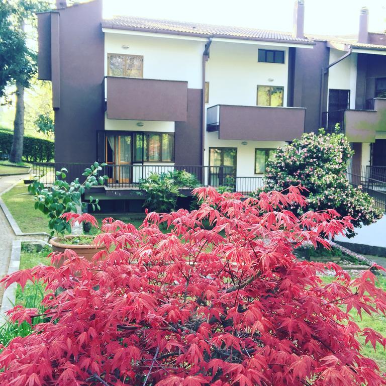 Maison 3G Ariccia Exterior photo